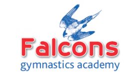 Falcons Gymnastics Acadamy