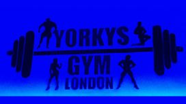 Yorkys Gym